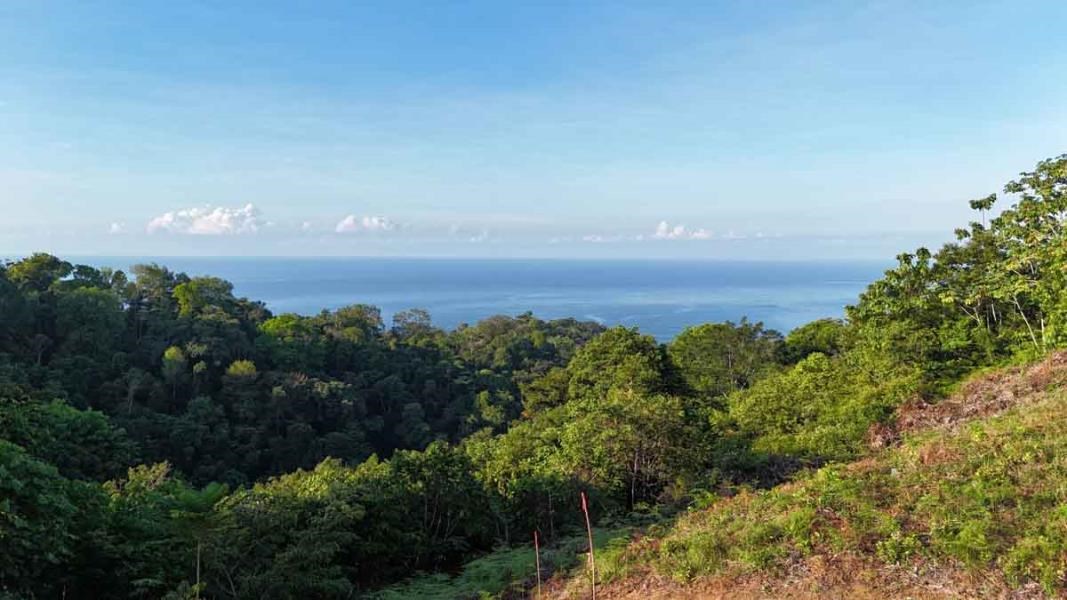 Ocean view, immaculately prepared, jungle and river lot in Ojochal. Ready To Build!